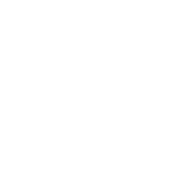 Bridgestone-white